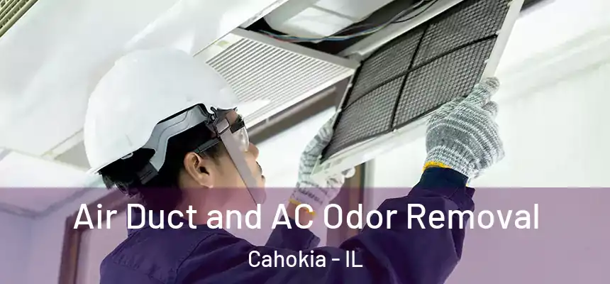  Air Duct and AC Odor Removal Cahokia - IL