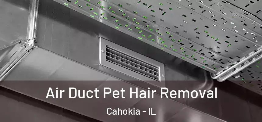  Air Duct Pet Hair Removal Cahokia - IL