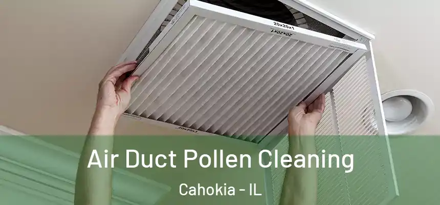  Air Duct Pollen Cleaning Cahokia - IL