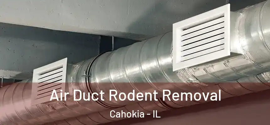  Air Duct Rodent Removal Cahokia - IL