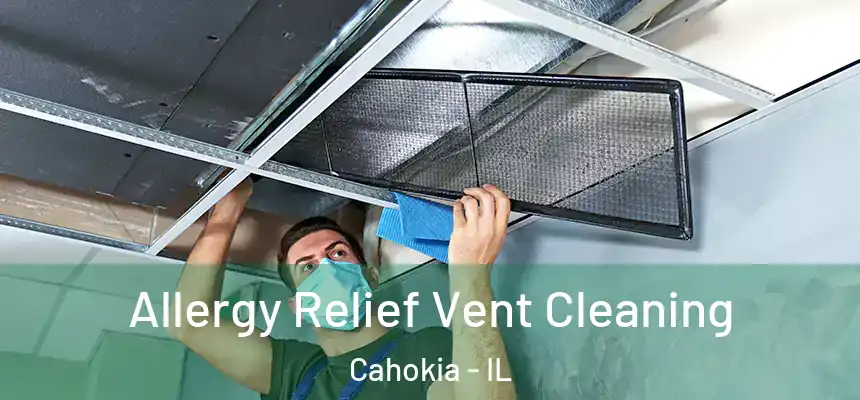  Allergy Relief Vent Cleaning Cahokia - IL
