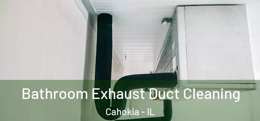  Bathroom Exhaust Duct Cleaning Cahokia - IL