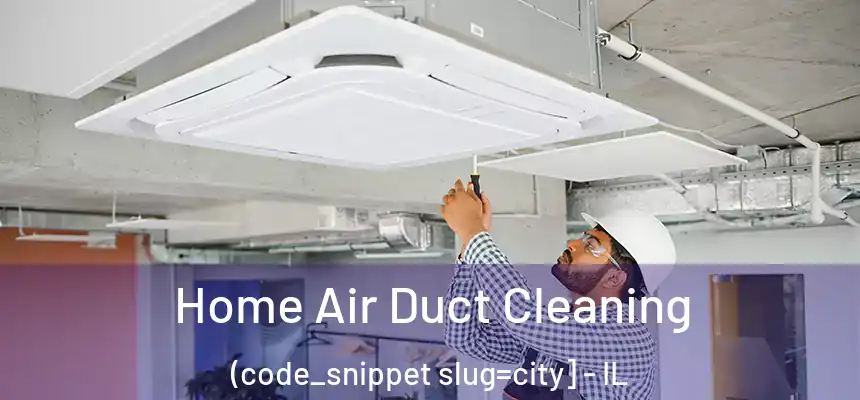  Home Air Duct Cleaning (code_snippet slug=city] - IL
