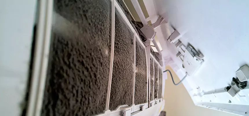 Preventive Air Duct Bacteria Removal in Cahokia