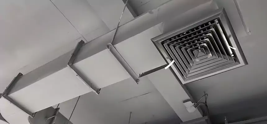 Restorative Allergy Relief Vent Cleaning – Coil, Blower & Housing Detail in Cahokia