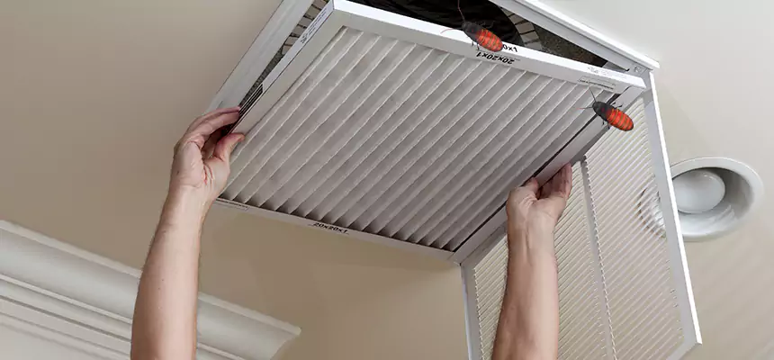 Our Insect Removal from Air Ducts Services in Cahokia, IL
