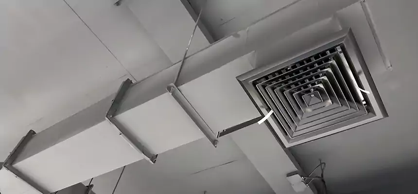 Our Rodent Droppings In Vents Services in Cahokia, IL