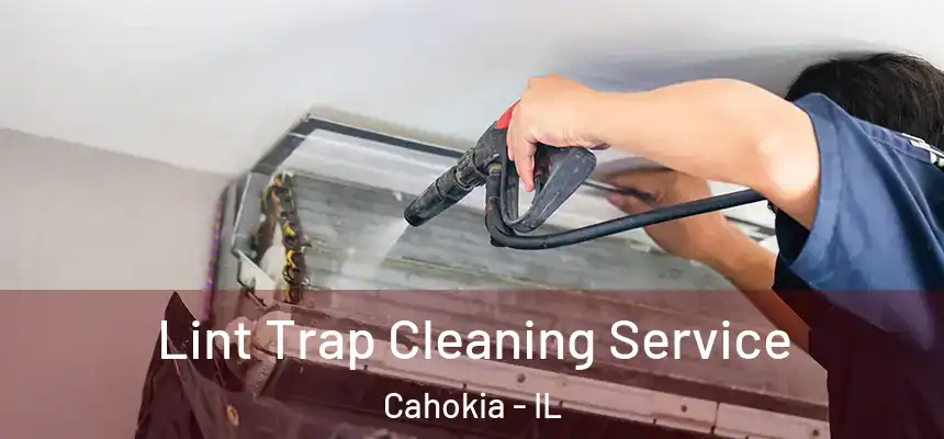  Lint Trap Cleaning Service Cahokia - IL
