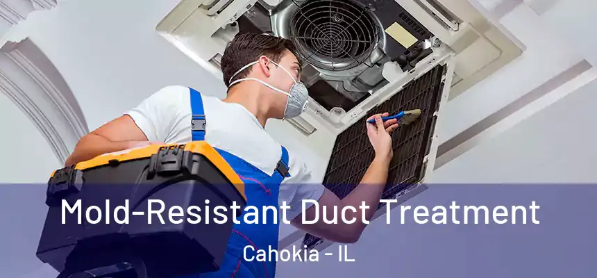  Mold-Resistant Duct Treatment Cahokia - IL