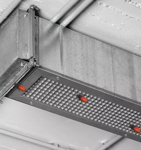 About Air Duct Cockroach Removal in Cahokia, IL
