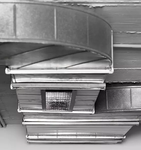 Professional Air Duct Pet Hair Removal in Cahokia, IL