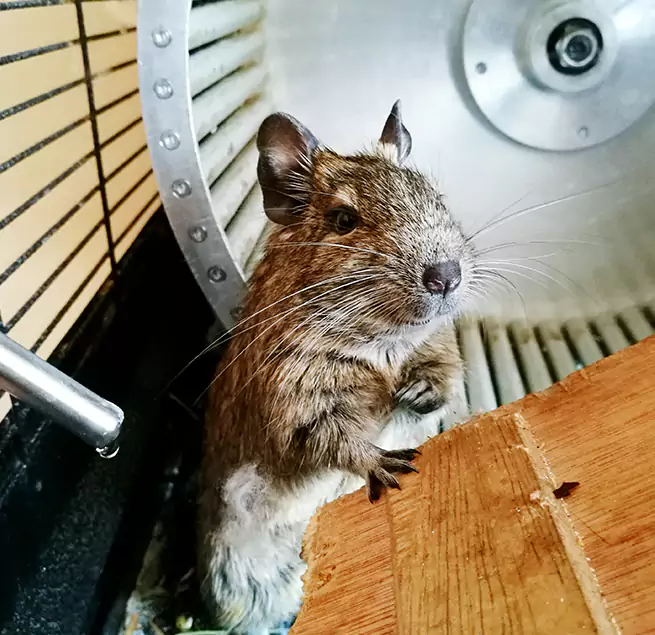 Why Homeowners & Businesses Trust Us Cahokia, IL?