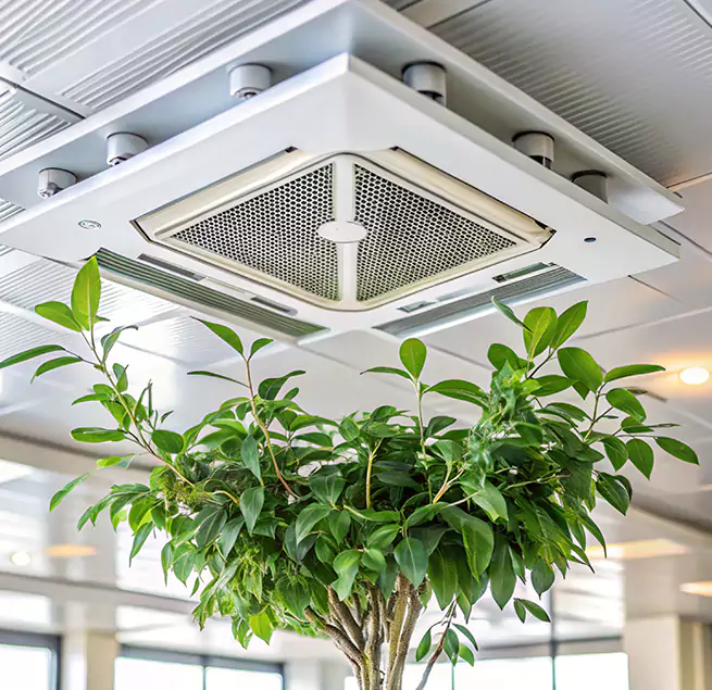 Why Homeowners & Businesses Trust Us in Cahokia, IL?